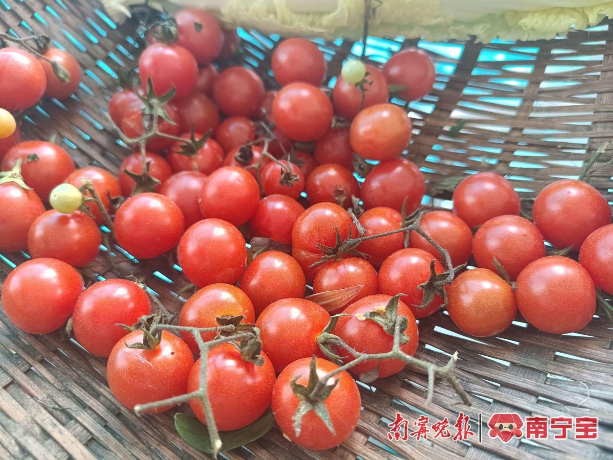 半岛春节假期逐渐圆润？节后健康饮食运动指南来啦！(图2)