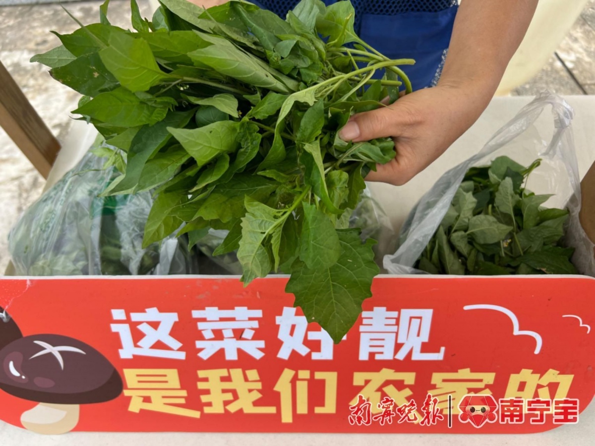 半岛春节假期逐渐圆润？节后健康饮食运动指南来啦！(图5)