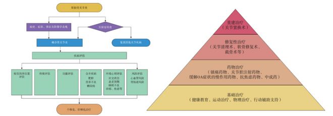 半岛骨关节炎该怎么治？多篇指南送你答案(图2)