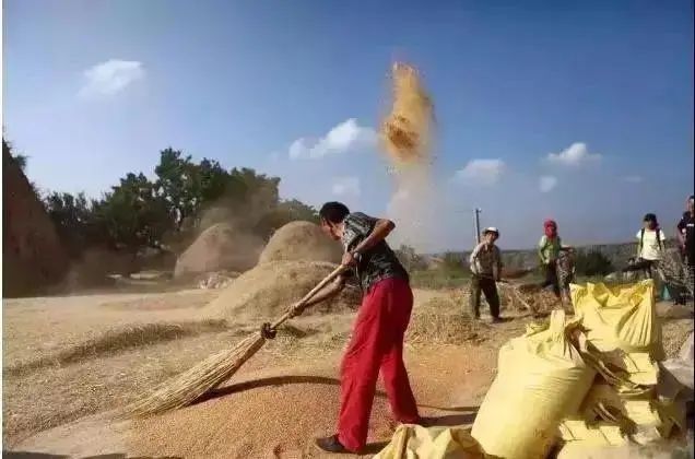 半岛.体育 (中国) 官方网站城里女人为啥要练瑜伽又不能挣钱？网友：身体就是她们(图1)