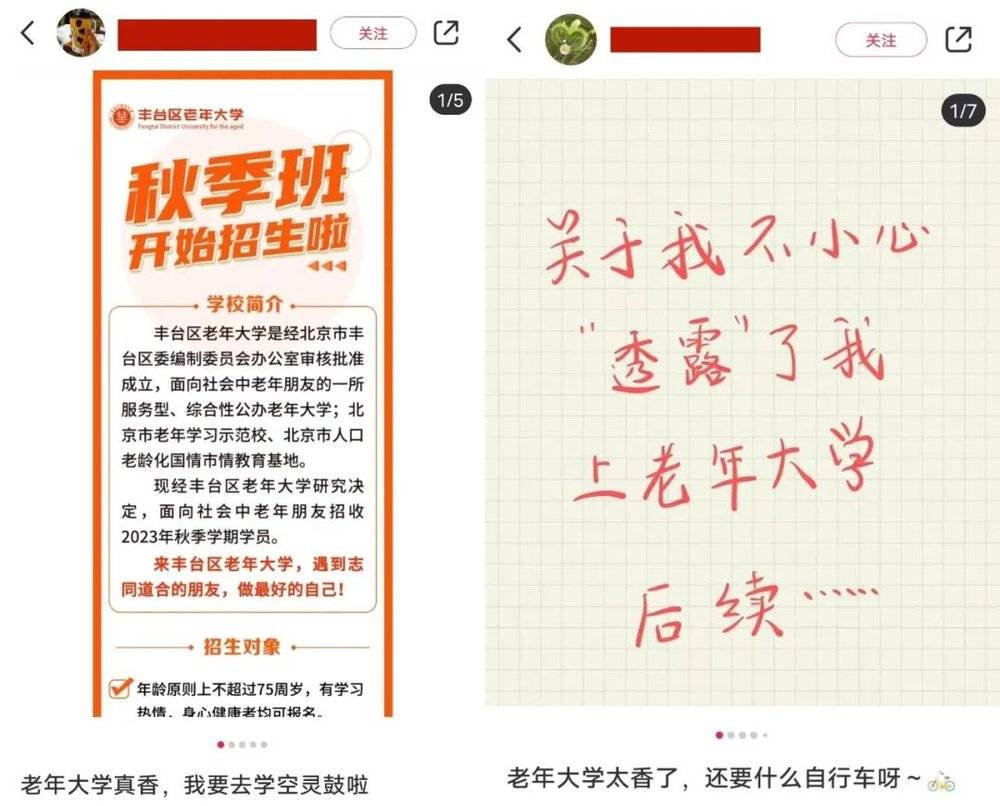 半岛.体育 (中国) 官方网站逃避内卷的年轻人盯上老年大学音乐课(图1)