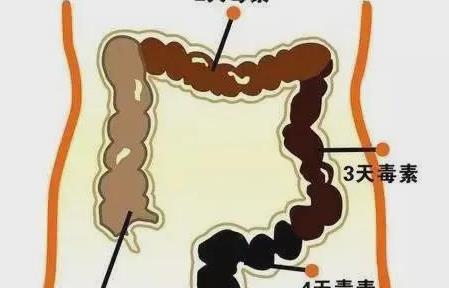 半岛.体育 (中国) 官方网站大便时总有一种拉不痛快的感觉？或许是身体给你发出的(图2)