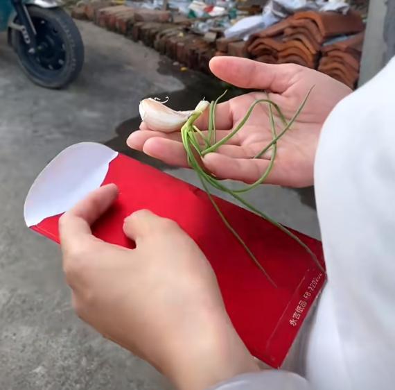 半岛这是啥意思？女子见男友家长辈爷爷给的红包竟是一棵葱和一瓣蒜(图4)