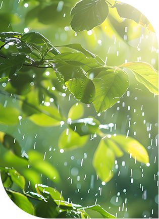 半岛【节气养生】夏至养生知识让您健康一“夏”！(图1)