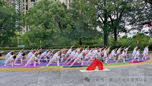 半岛.体育 (中国) 官方网站2024年黄山市中老年瑜伽健身展示活动暨第十届国际(图5)