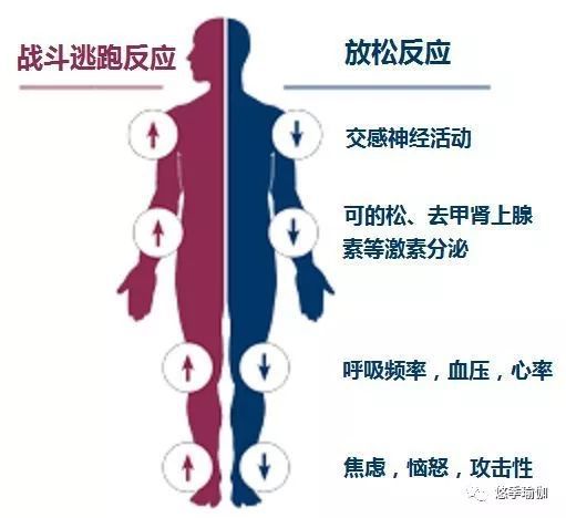 半岛.体育 (中国) 官方网站我们冥想到底是为什么？在想什么？(图1)