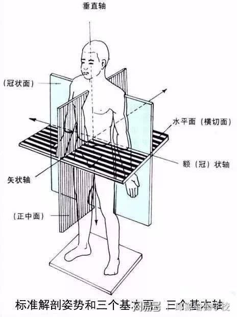 半岛官方网站瑜伽科普：常用瑜伽术语(图1)