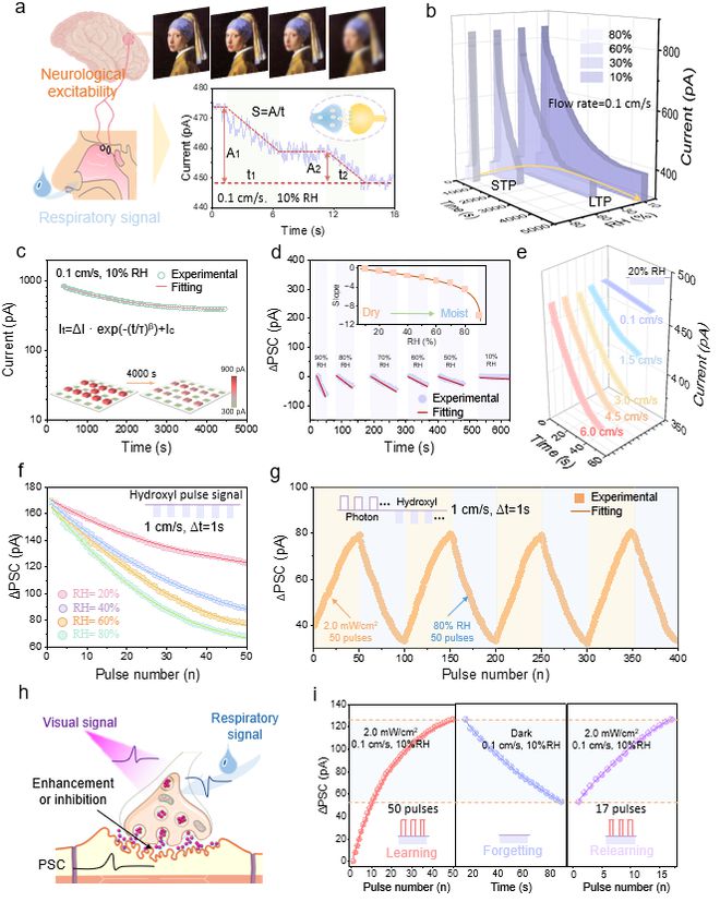 半岛.体育 (中国) 官方网站大连理工江诚鸣、毕胜等《AM》：生物启发的多模态人(图5)