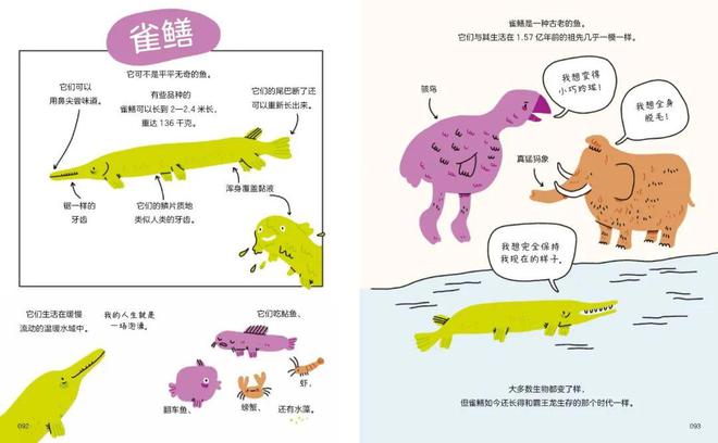 半岛官方网站舒适内衣、椰乳、羊绒、钢笔、瑜伽垫、石榴、阅读软件、纪录片和89分书(图22)