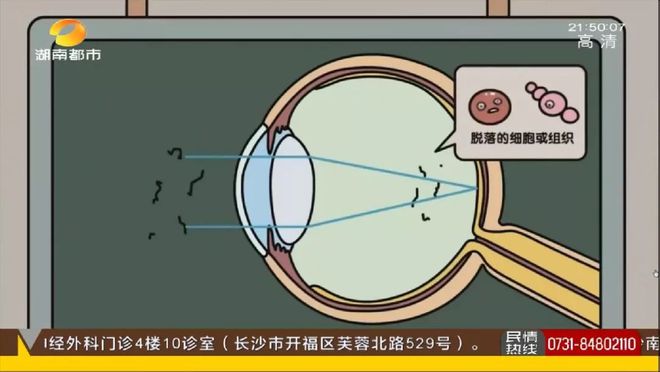 半岛你的健身教练靠谱吗？健身行业内幕揭秘！7天培训or直接在网上买证就能成为健身(图3)