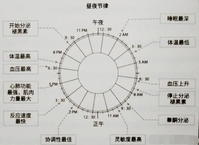 半岛.体育 (中国) 官方网站你不知道的健身小知识：锻炼身体的最佳时间是什么时候(图2)